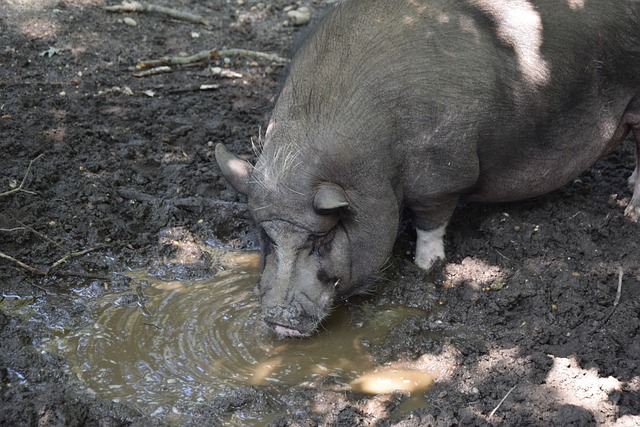 通过系统的 通过系统的