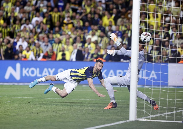 通过有效的 通过有效的