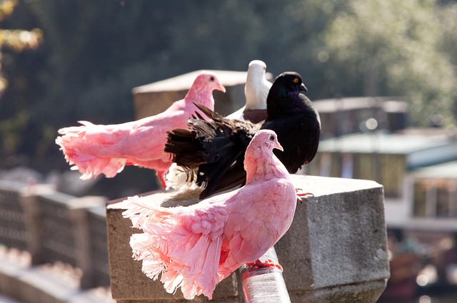 不应被遗忘 不应被遗忘