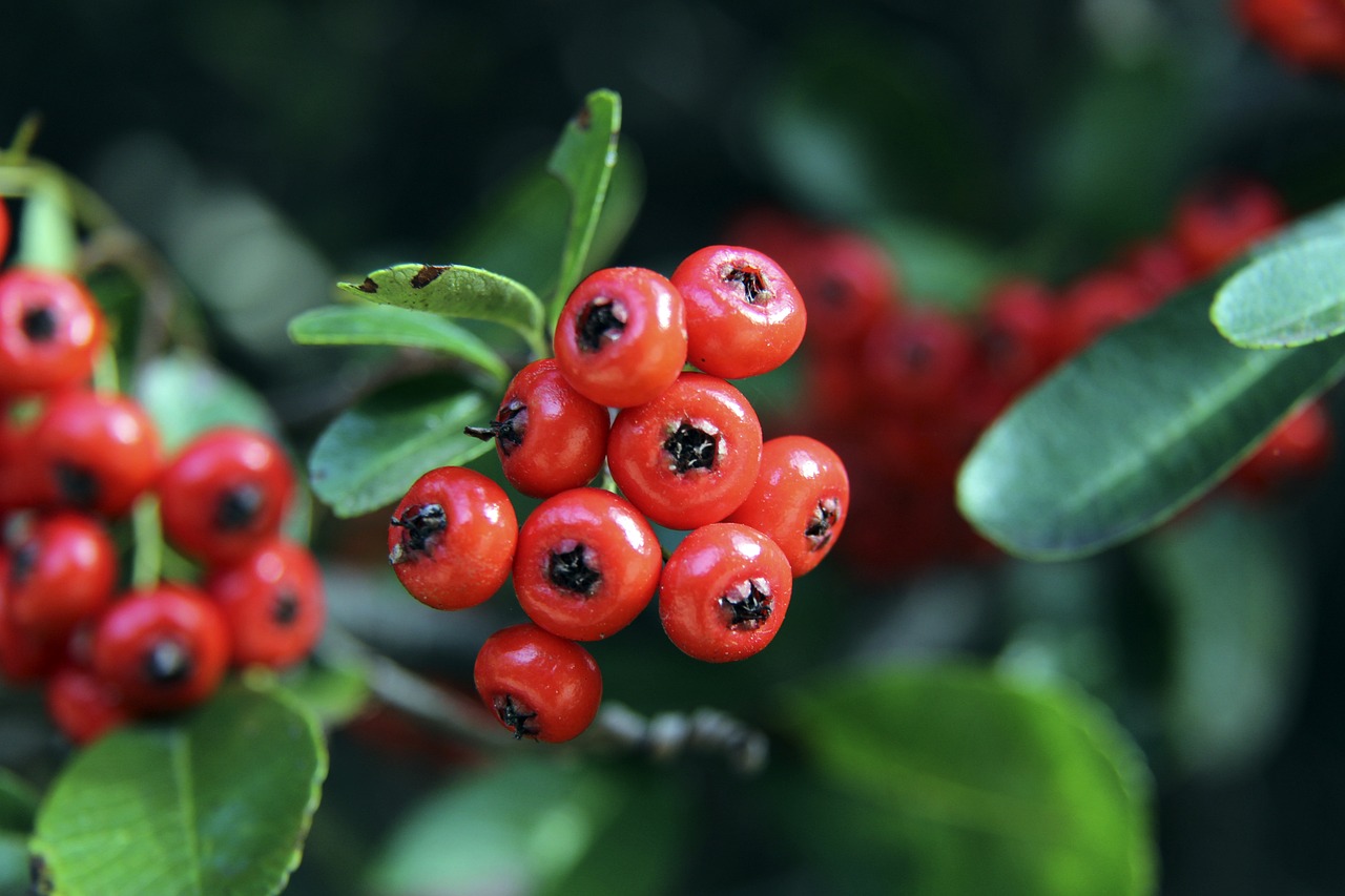 挥个人实力 挥个人实力