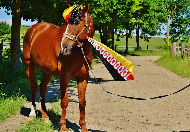 运动中的永 运动中的永