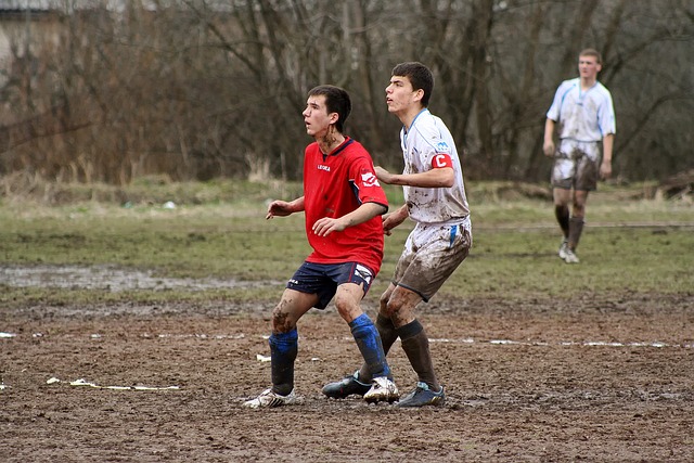 这不仅体现 这不仅体现