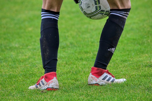 的適應能力 的適應能力