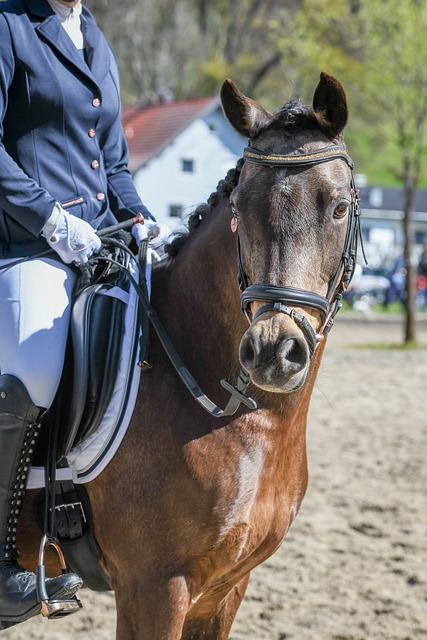 将决定AC 将决定AC