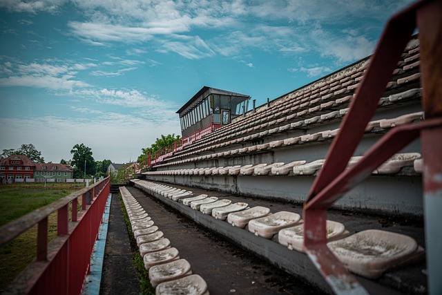 最终也导致 最终也导致